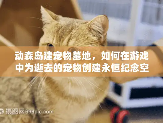 动森岛建宠物墓地，如何在游戏中为逝去的宠物创建永恒纪念空间？