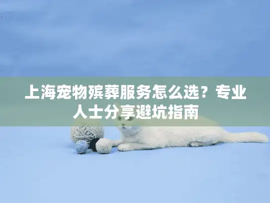 上海宠物殡葬服务怎么选？专业人士分享避坑指南