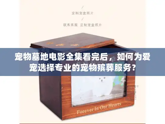 宠物墓地电影全集看完后，如何为爱宠选择专业的宠物殡葬服务？