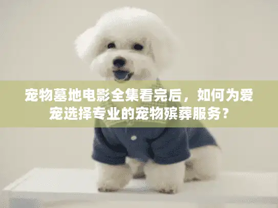 宠物墓地电影全集看完后，如何为爱宠选择专业的宠物殡葬服务？