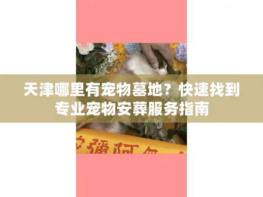 天津哪里有宠物墓地？快速找到专业宠物安葬服务指南