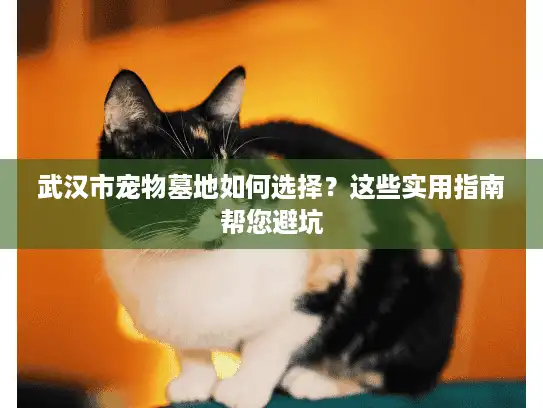 武汉市宠物墓地如何选择？这些实用指南帮您避坑