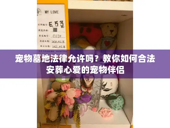 宠物墓地法律允许吗？教你如何合法安葬心爱的宠物伴侣