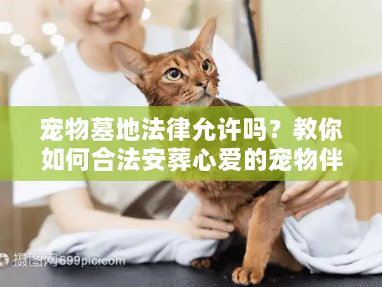 宠物墓地法律允许吗？教你如何合法安葬心爱的宠物伴侣