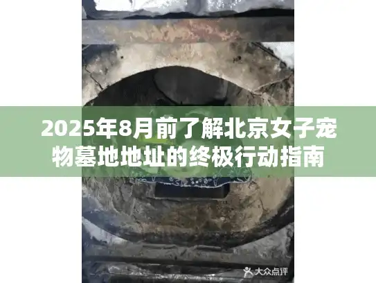 2025年8月前了解北京女子宠物墓地地址的终极行动指南