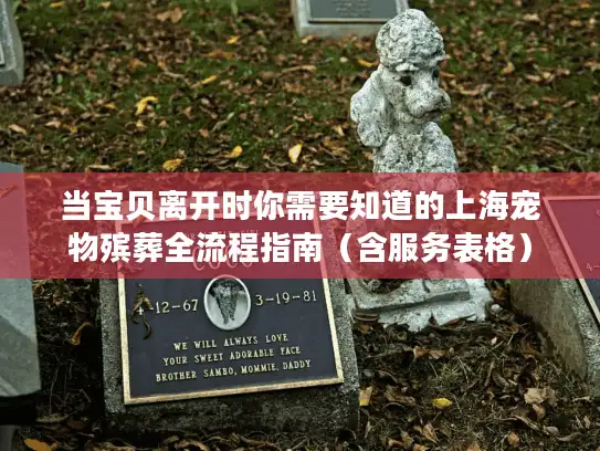 当宝贝离开时你需要知道的上海宠物殡葬全流程指南（含服务表格）