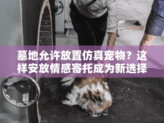 墓地允许放置仿真宠物？这样安放情感寄托成为新选择