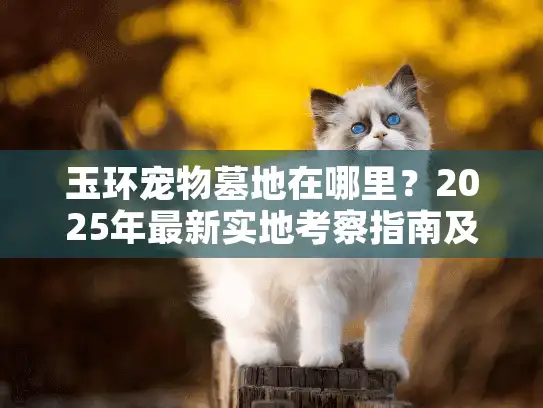 玉环宠物墓地在哪里？2025年最新实地考察指南及选址避坑建议