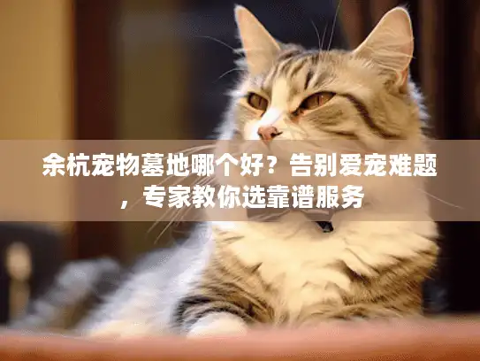 余杭宠物墓地哪个好？告别爱宠难题，专家教你选靠谱服务