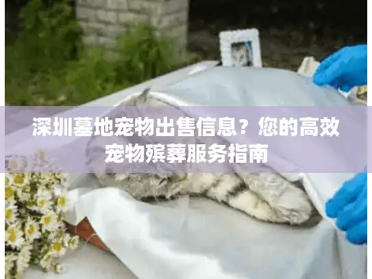 深圳墓地宠物出售信息？您的高效宠物殡葬服务指南