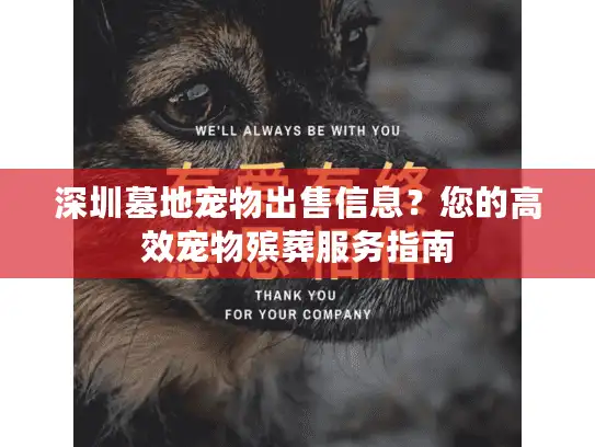 深圳墓地宠物出售信息？您的高效宠物殡葬服务指南