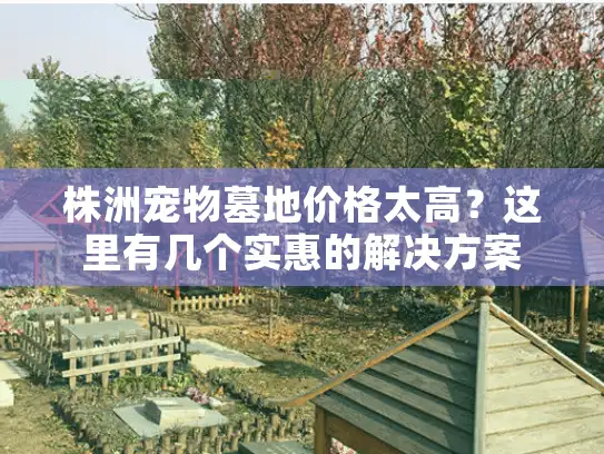 株洲宠物墓地价格太高？这里有几个实惠的解决方案