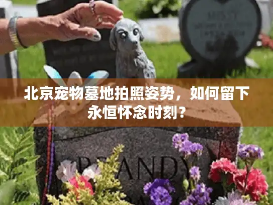 北京宠物墓地拍照姿势，如何留下永恒怀念时刻？