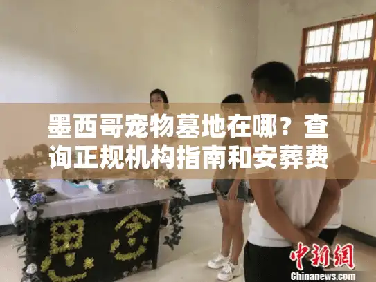 墨西哥宠物墓地在哪？查询正规机构指南和安葬费用