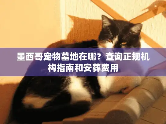 墨西哥宠物墓地在哪？查询正规机构指南和安葬费用