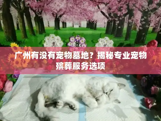 广州有没有宠物墓地？揭秘专业宠物殡葬服务选项
