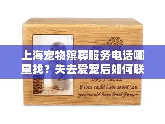 上海宠物殡葬服务电话哪里找？失去爱宠后如何联系正规机构