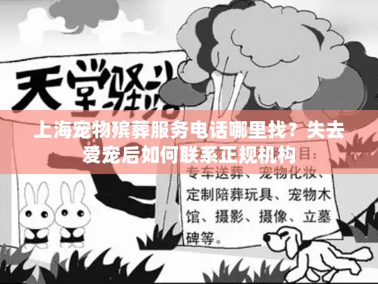 上海宠物殡葬服务电话哪里找？失去爱宠后如何联系正规机构