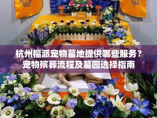 杭州福派宠物墓地提供哪些服务？宠物殡葬流程及墓园选择指南