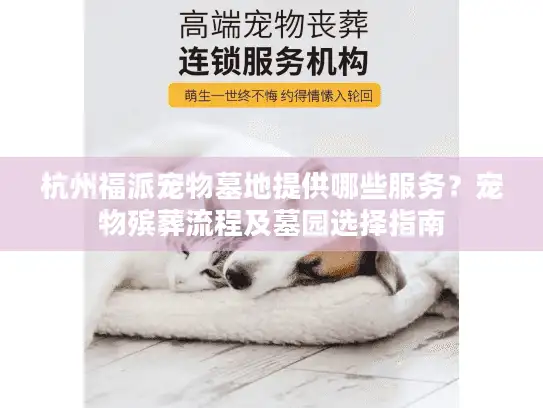 杭州福派宠物墓地提供哪些服务？宠物殡葬流程及墓园选择指南