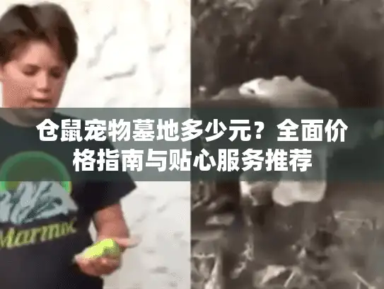 仓鼠宠物墓地多少元？全面价格指南与贴心服务推荐