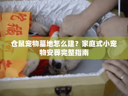 仓鼠宠物墓地怎么建？家庭式小宠物安葬完整指南