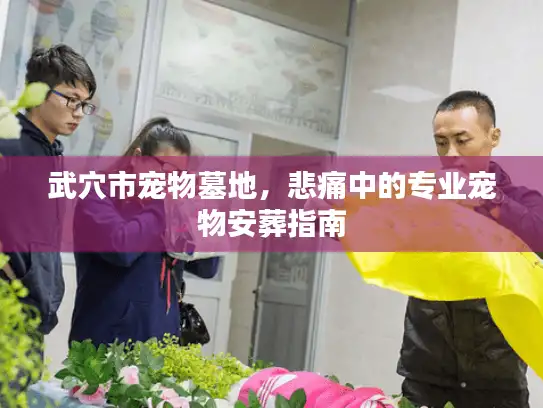 武穴市宠物墓地，悲痛中的专业宠物安葬指南