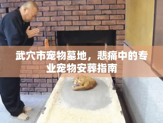 武穴市宠物墓地，悲痛中的专业宠物安葬指南