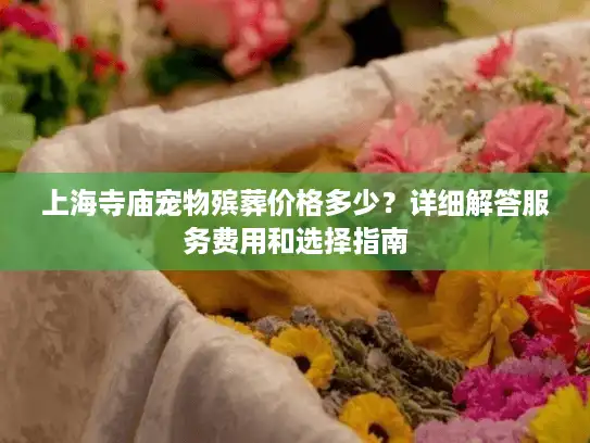 上海寺庙宠物殡葬价格多少？详细解答服务费用和选择指南
