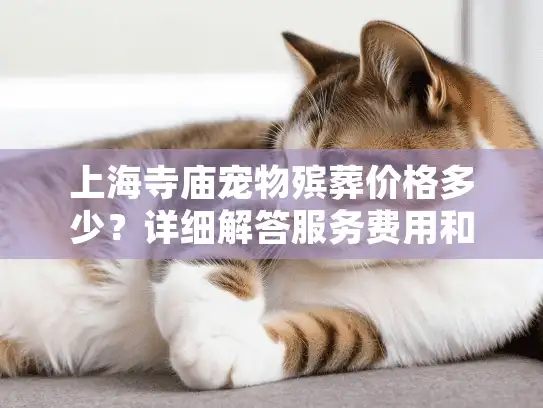 上海寺庙宠物殡葬价格多少？详细解答服务费用和选择指南