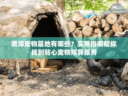 鹰潭宠物墓地有哪些？实用指南帮你找到贴心宠物殡葬服务