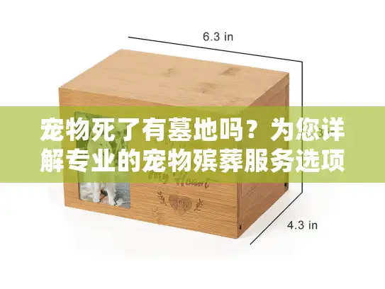 宠物死了有墓地吗？为您详解专业的宠物殡葬服务选项