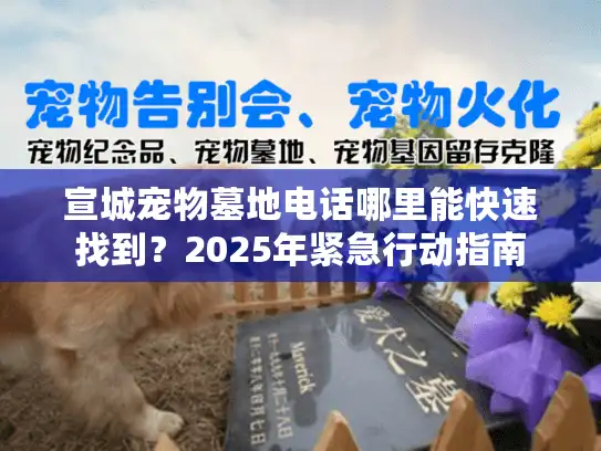 宣城宠物墓地电话哪里能快速找到？2025年紧急行动指南