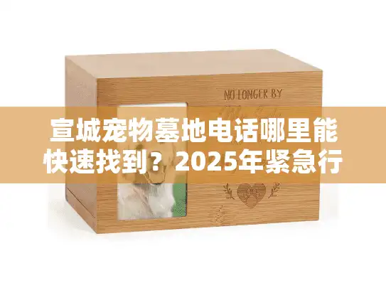 宣城宠物墓地电话哪里能快速找到？2025年紧急行动指南