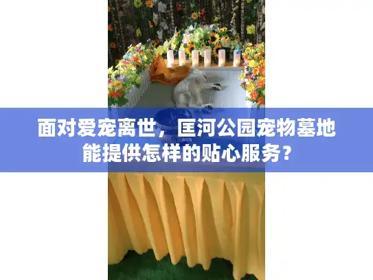 面对爱宠离世，匡河公园宠物墓地能提供怎样的贴心服务？