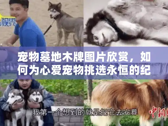 宠物墓地木牌图片欣赏，如何为心爱宠物挑选永恒的纪念牌？