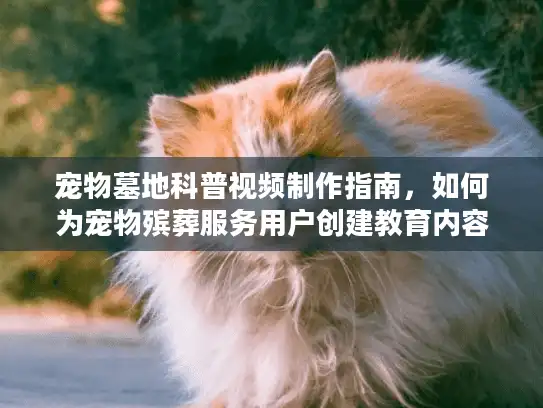 宠物墓地科普视频制作指南，如何为宠物殡葬服务用户创建教育内容？