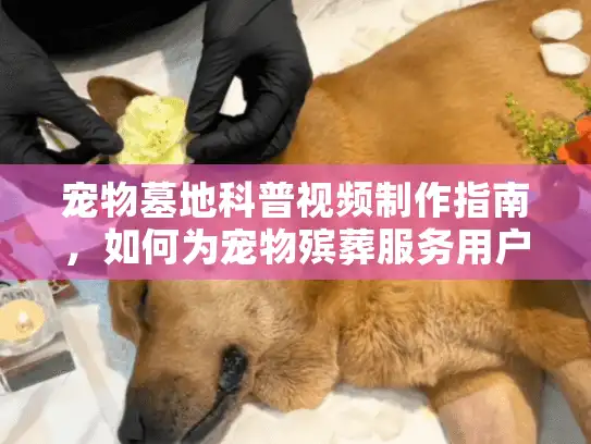 宠物墓地科普视频制作指南，如何为宠物殡葬服务用户创建教育内容？