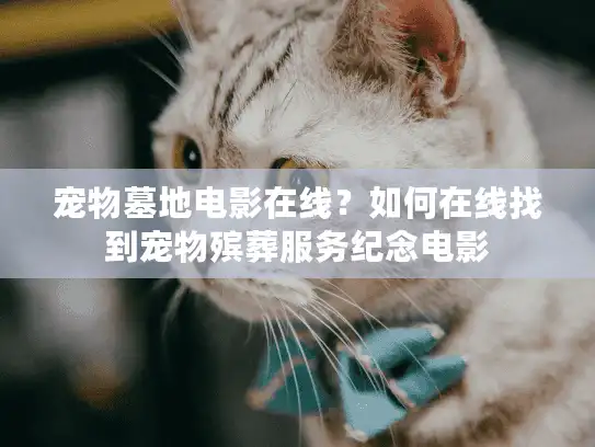 宠物墓地电影在线？如何在线找到宠物殡葬服务纪念电影