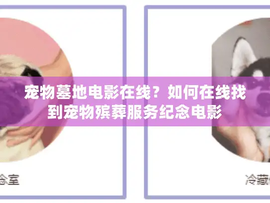 宠物墓地电影在线？如何在线找到宠物殡葬服务纪念电影