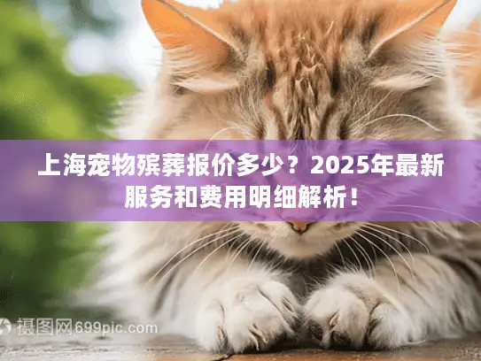 上海宠物殡葬报价多少？2025年最新服务和费用明细解析！