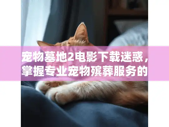 宠物墓地2电影下载迷惑，掌握专业宠物殡葬服务的5步实践指南