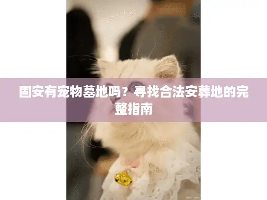 固安有宠物墓地吗？寻找合法安葬地的完整指南