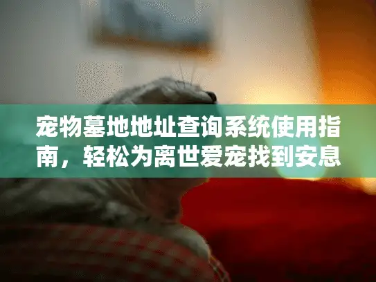 宠物墓地地址查询系统使用指南，轻松为离世爱宠找到安息之所