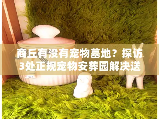 商丘有没有宠物墓地？探访3处正规宠物安葬园解决送别难题