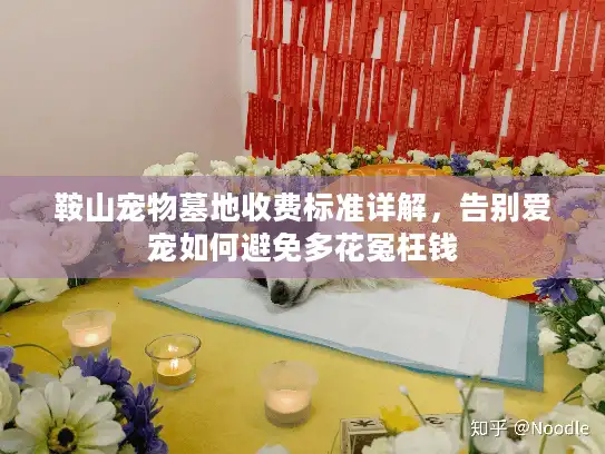 鞍山宠物墓地收费标准详解，告别爱宠如何避免多花冤枉钱