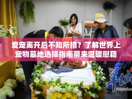 爱宠离开后不知所措？了解世界上宠物墓地选择指南带来温暖慰藉