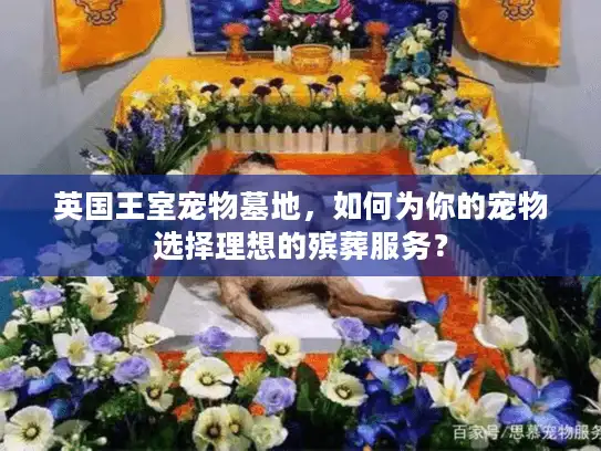 英国王室宠物墓地，如何为你的宠物选择理想的殡葬服务？