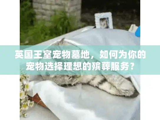 英国王室宠物墓地，如何为你的宠物选择理想的殡葬服务？