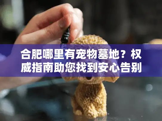 合肥哪里有宠物墓地？权威指南助您找到安心告别之所